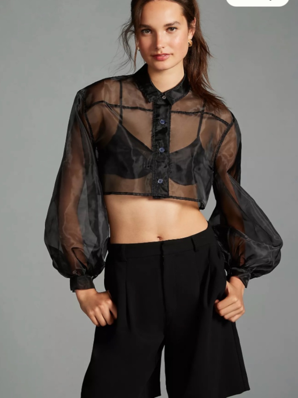 ANTHROPOLOGIE SHEER CROP BLOUSE